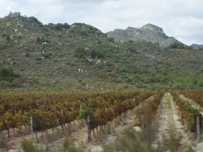 WineTour2SA (170)