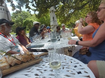 WineTour2SA (18)