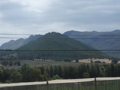 WineTour2SA (47)