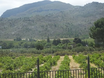 WineTour2SA (63)