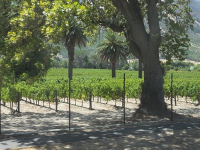 WineTour2SA (68)