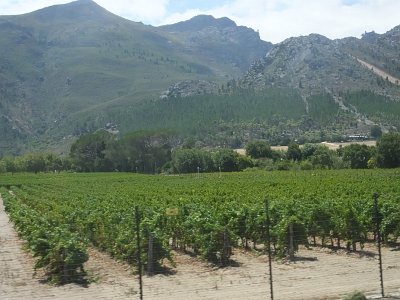 WineTour2SA (71)