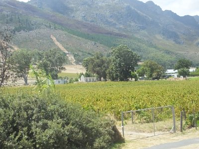 WineTour2SA (74)