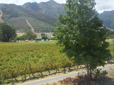 WineTour2SA (75)