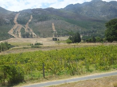 WineTour2SA (76)