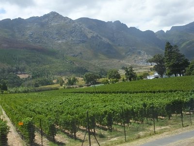 WineTour2SA (77)