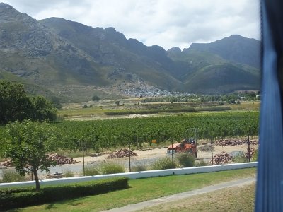 WineTour2SA (78)