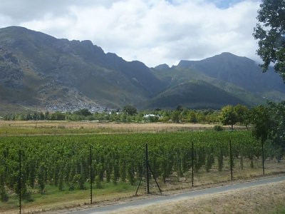 WineTour2SA (79)