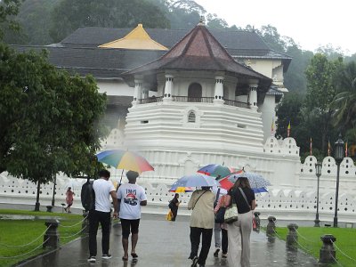 Nov5Kandy (549)