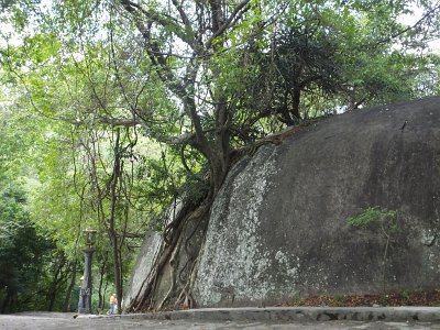 Dambulla (13)