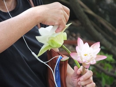 Dambulla (14)