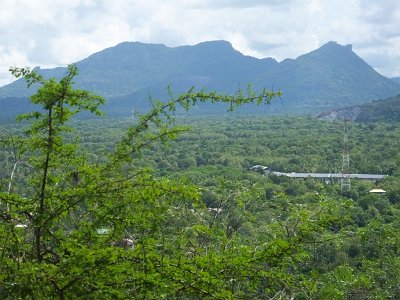 Dambulla (16)