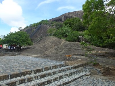 Dambulla (17)