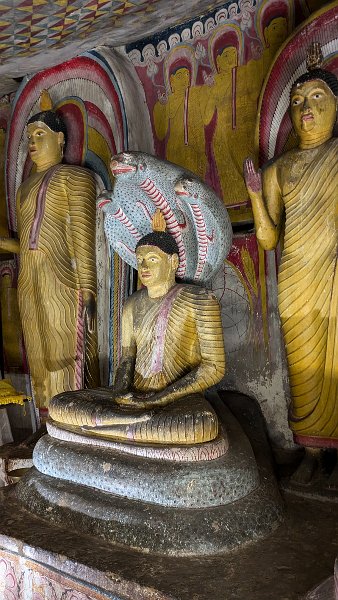 gDambulla (57)