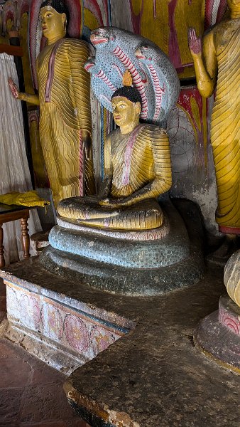 gDambulla (58)