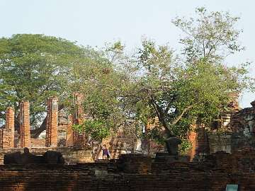 Ayutthya (102)