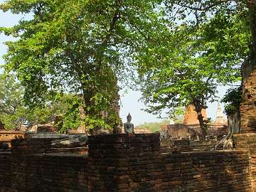 Ayutthya (103)