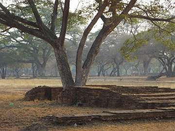 Ayutthya (215)