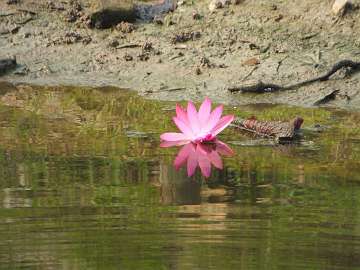 Sukhothai (23)