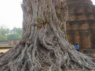 Sukhothai (55)