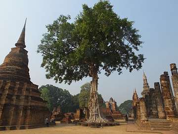 Sukhothai (57)