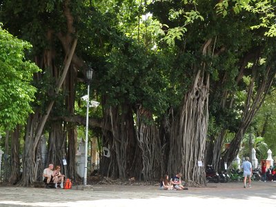 BangkokB (36)