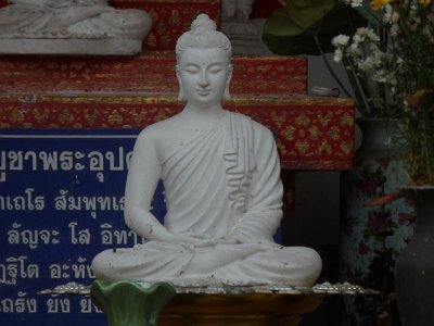 cm pagoda2a (10)