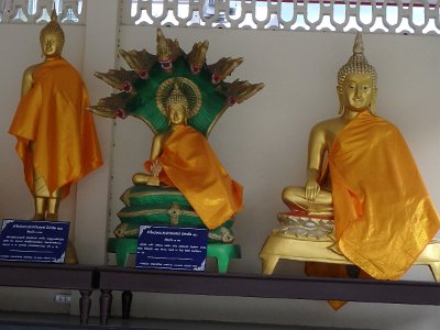 cm pagoda2a (3)