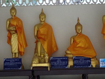 cm pagoda2a (4)