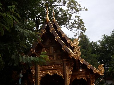 cm pagoda2a (80)