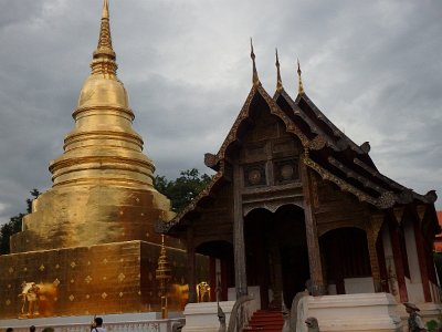 cm pagoda2a (91)