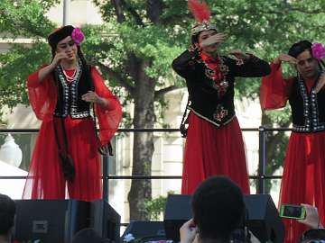 TurkishFest (221)