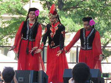 TurkishFest (225)