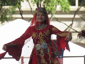 TurkishFest (336)