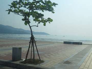 danang (106)