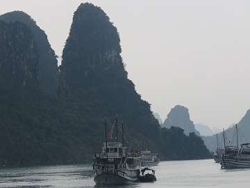 HaLong (796)