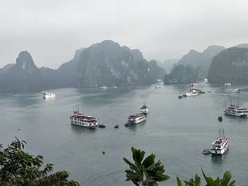 HaLong (850)