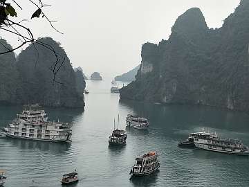 HaLong (956)