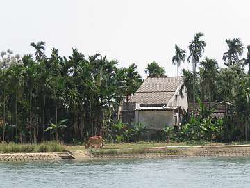 HoiAn (43)