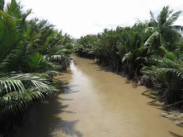 Mekong (51)