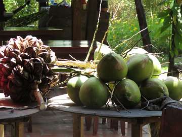 Mekong (71)