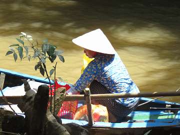 Mekong (80)