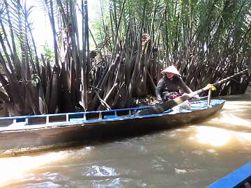 Mekong (96)