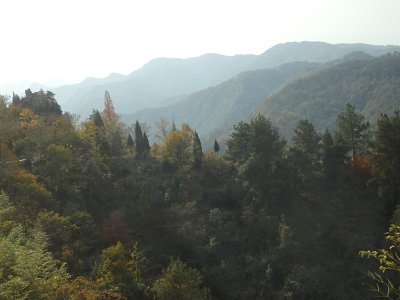 WuDang (11)