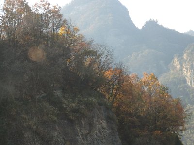 WuDang (158)