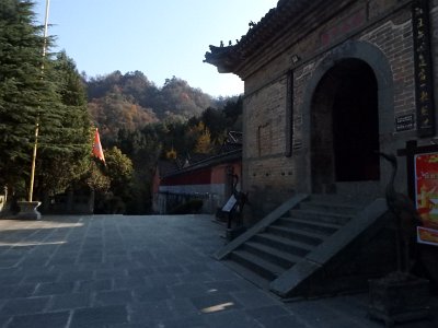 WuDang (246)