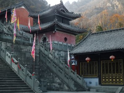 WuDang (256)