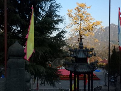 WuDang (284)