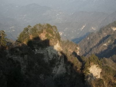 WuDang (311)