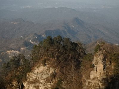WuDang (321)